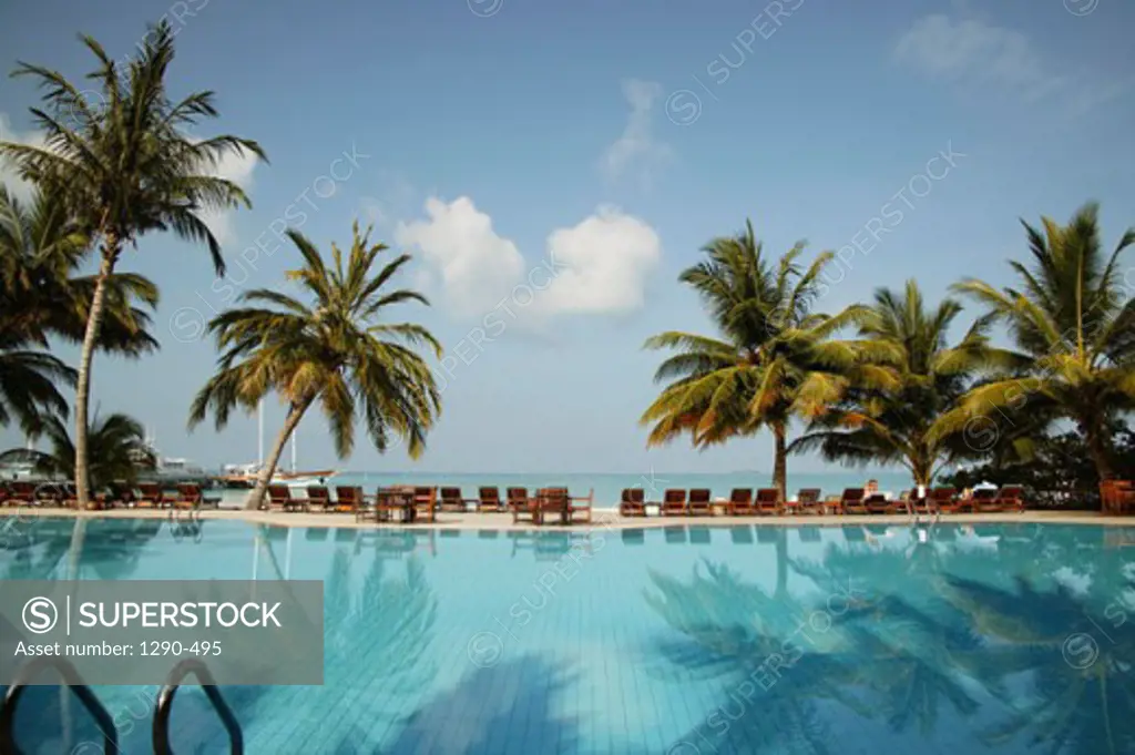 Reflection of palm trees in a swimming pool, Meeru Island Resort, North Male Atoll, Maldives