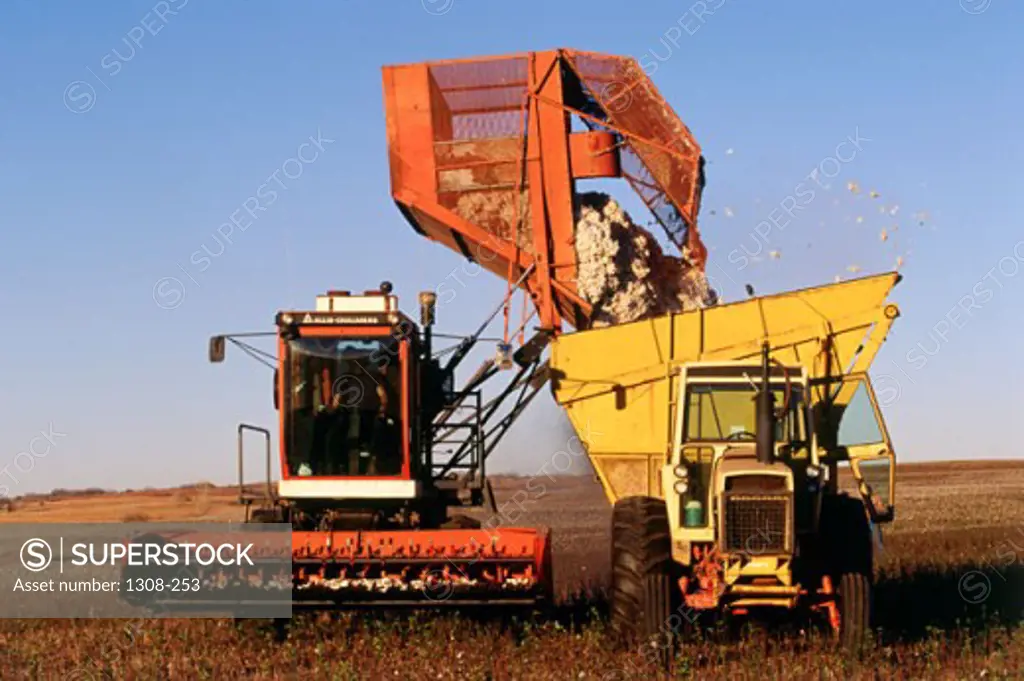 Combine loading cotton crop onto a tractor trolley