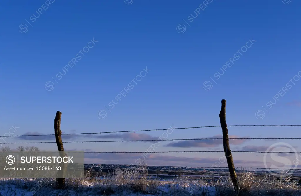 Barbed wire fence in a field