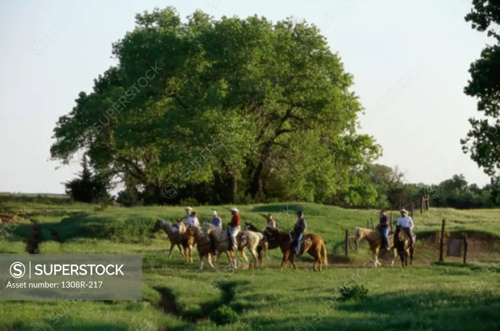 Cattle ranchers on horseback