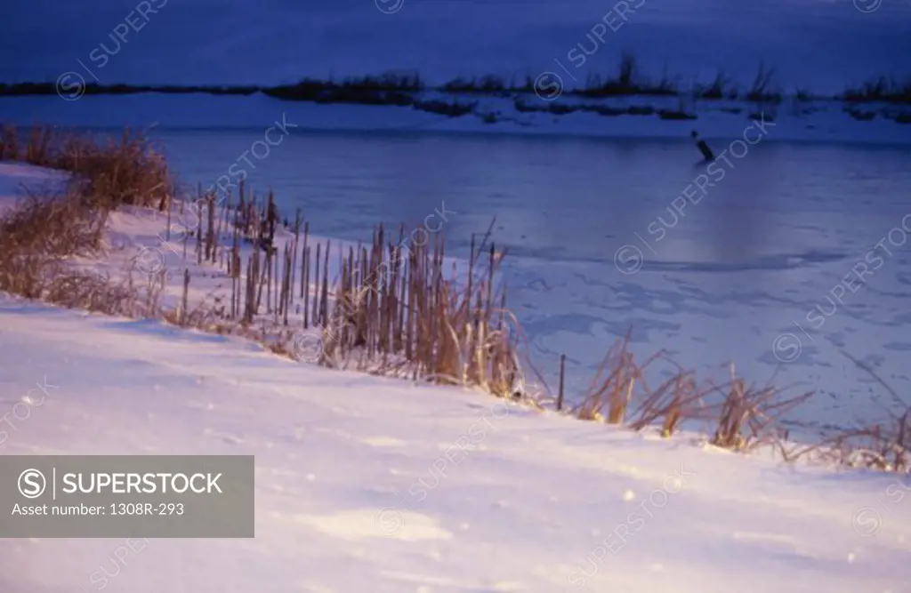 Frozen lake at Barber, Kansas, USA