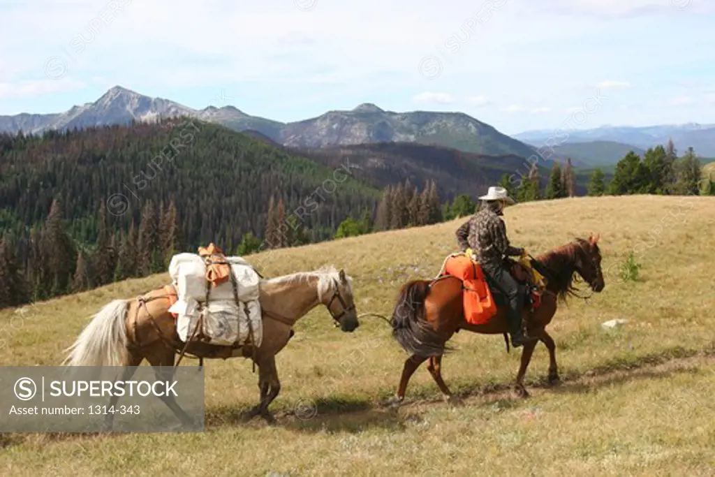USA, Washington, Pasayten Wilderness, cowboy travelling with two horses