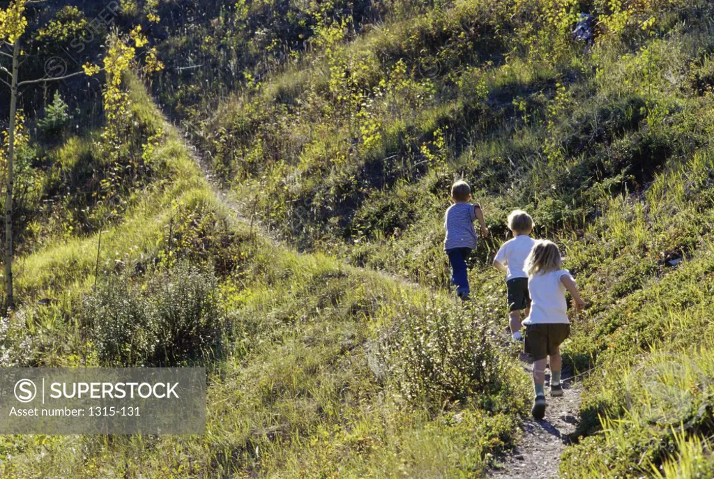 Rear view of three children running up a hill