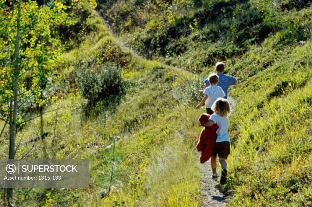 Rear view of three children running up a hill