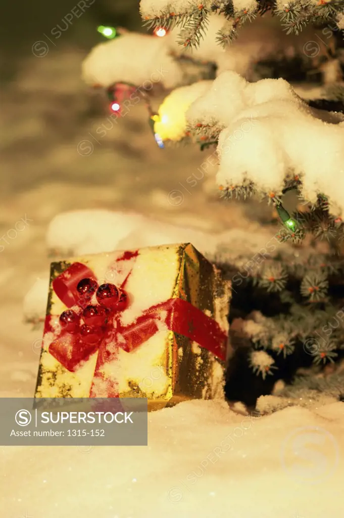 Close-up of a Christmas present under a Christmas tree