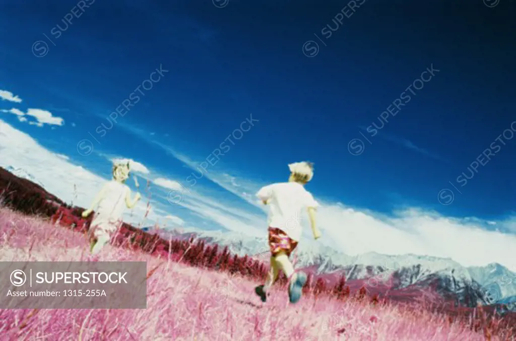 Rear view of a brother and sister running in a field