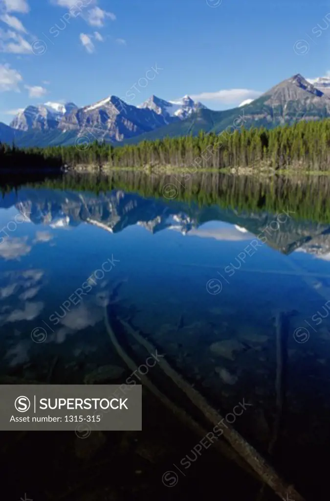 Reflection of mountains in a lake, Herbert Lake, Banff National Park, Alberta, Canada