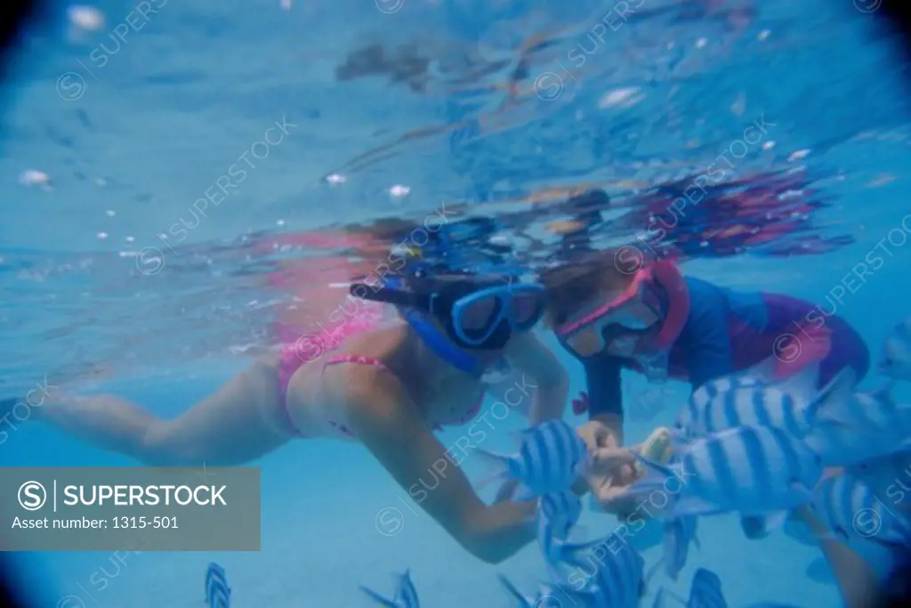 Mother and daughter snorkeling in the sea