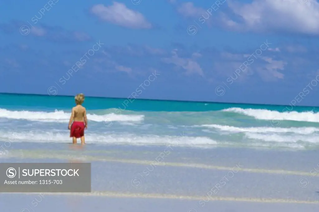 Rear view of a boy standing in water on the beach