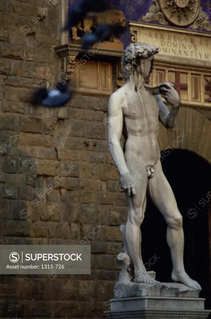 Replica of a statue, Michelangelo's David, Florence, Italy