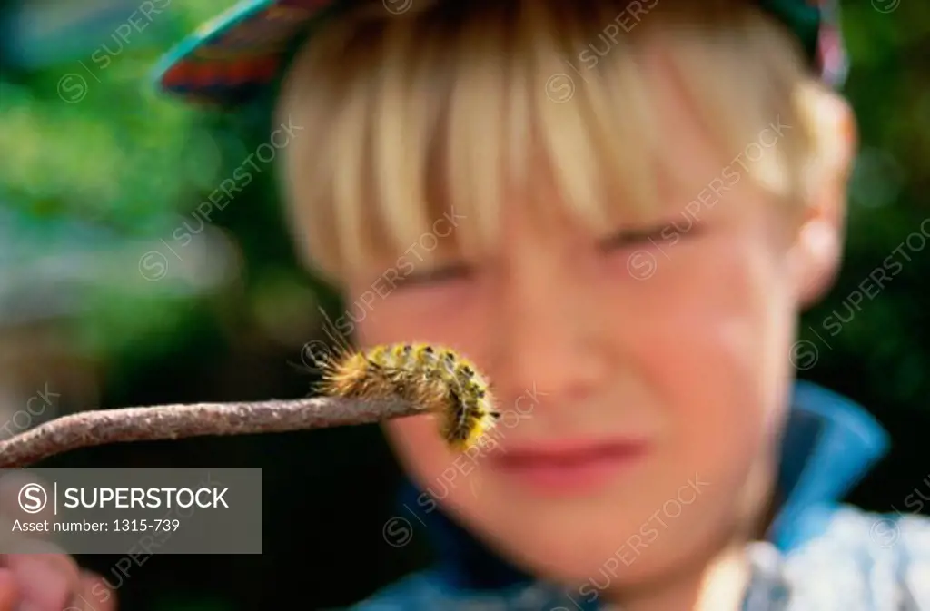 Close-up of a boy looking at a caterpillar crawling on a stick