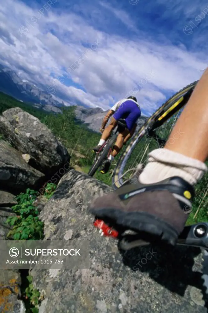Rear view of two people mountain biking, Canadian Rockies, Alberta, Canada