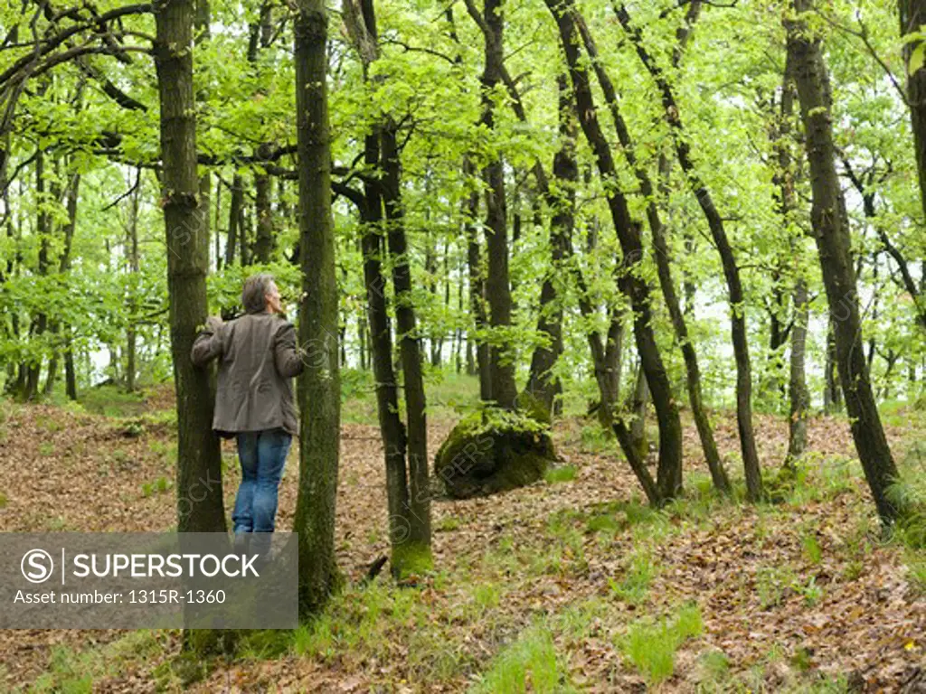 Italy, Piedmont, man standing between trees in forest