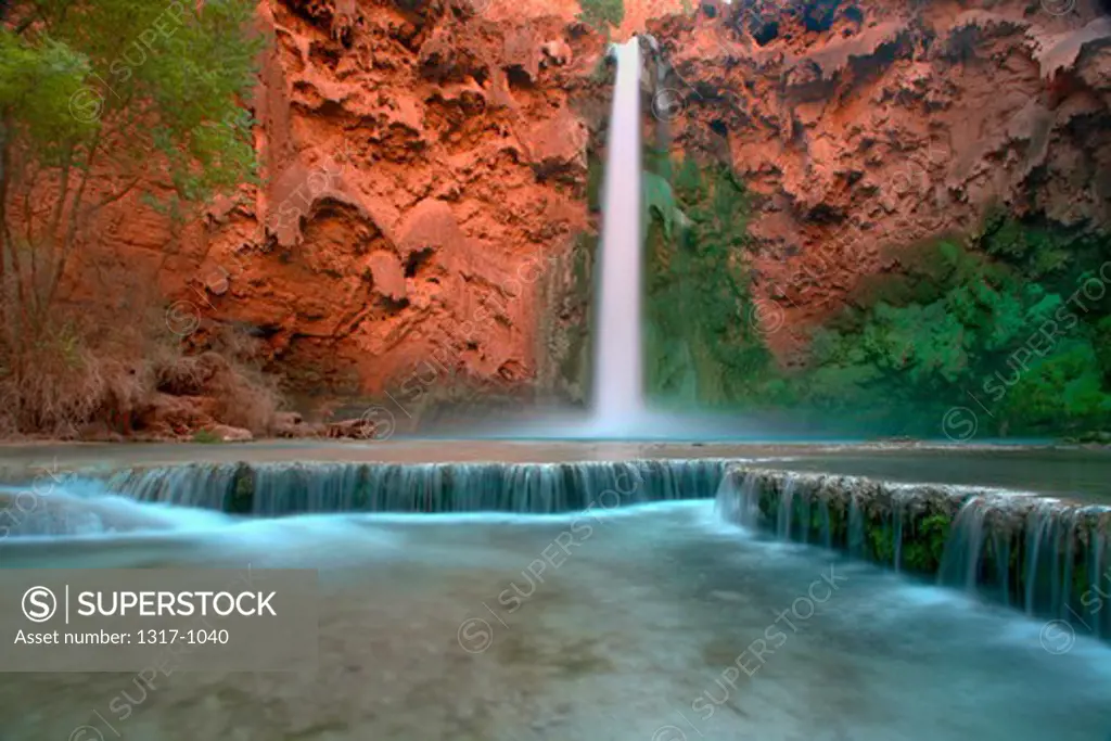 Waterfall in a forest, Mooney Falls, Havasu Canyon, Grand Canyon National Park, Arizona, USA