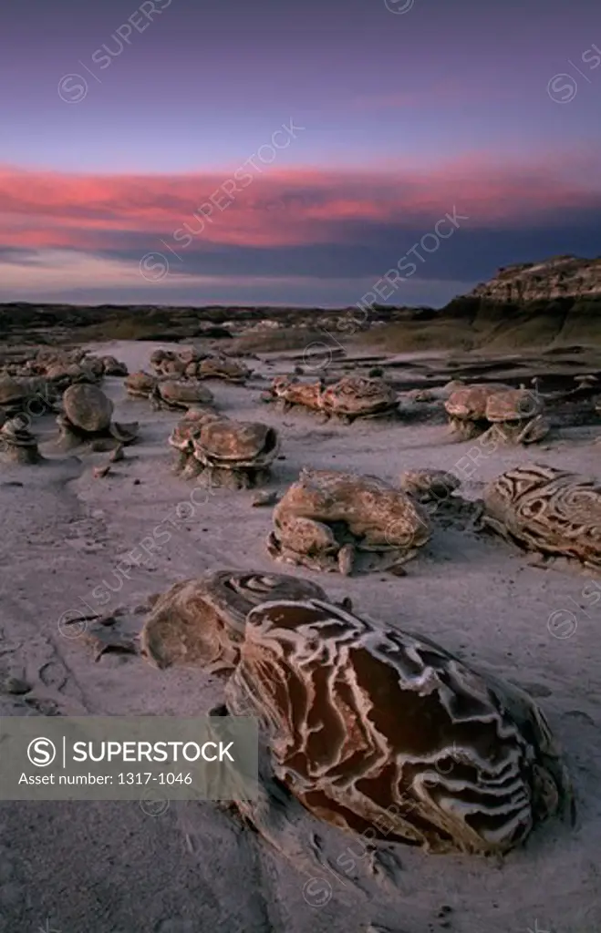 Rock formations, Bisti Badlands, San Juan County, New Mexico, USA