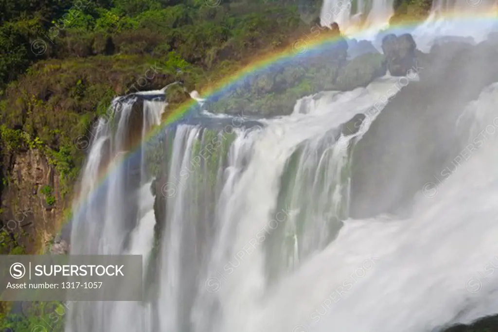 Waterfalls in a forest, Iguacu Falls, Argentina-Brazil Border