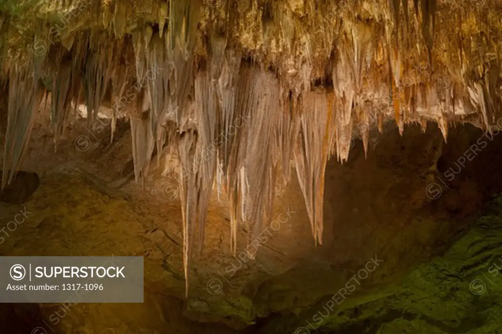 USA, New Mexico, Carlsbad Caverns National Park, Carlsbad Caverns