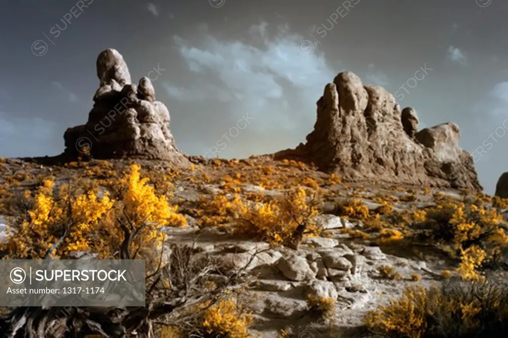 USA, Utah, Arches National Park, Rock formations and desert plants