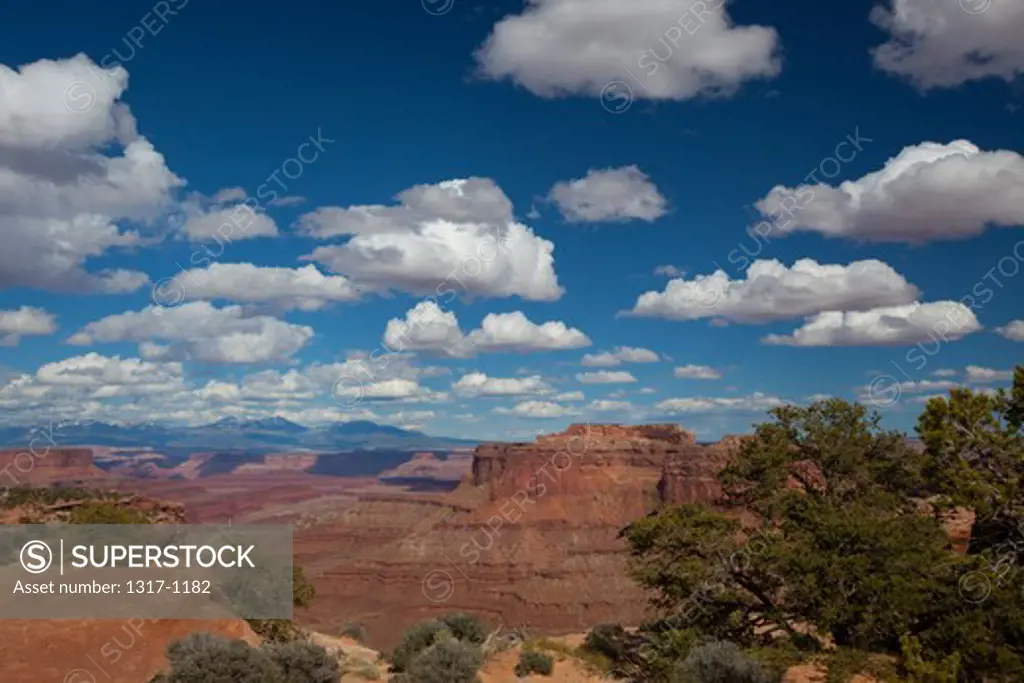 USA, Utah, Canyonlands National Park, Island in the Sky District canyon