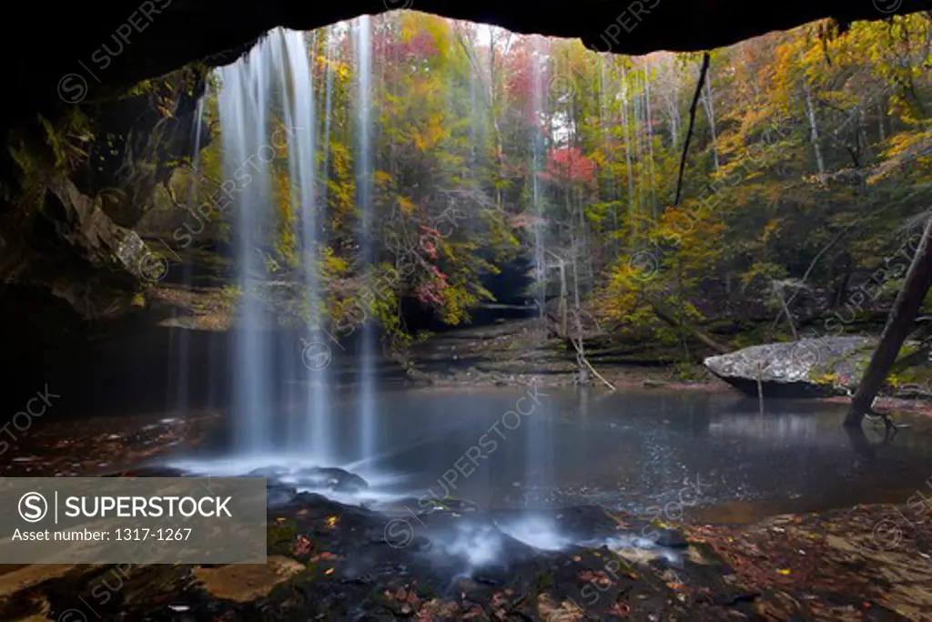 Waterfall in a forest, Sipsey Wilderness, Bankhead National Forest, Alabama, USA