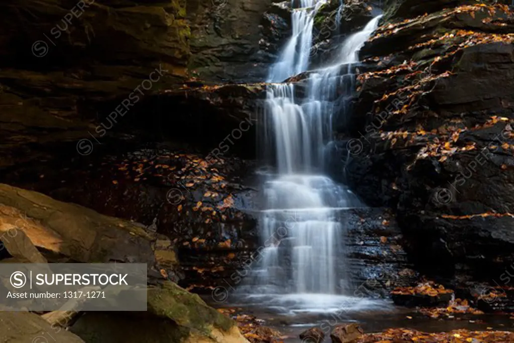 Waterfall in a forest, Sipsey Wilderness, Bankhead National Forest, Alabama, USA