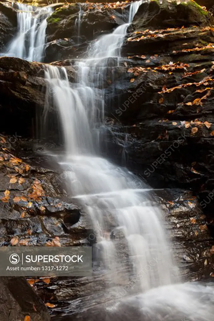 Water falling from rocks, Sipsey Wilderness, Bankhead National Forest, Alabama, USA