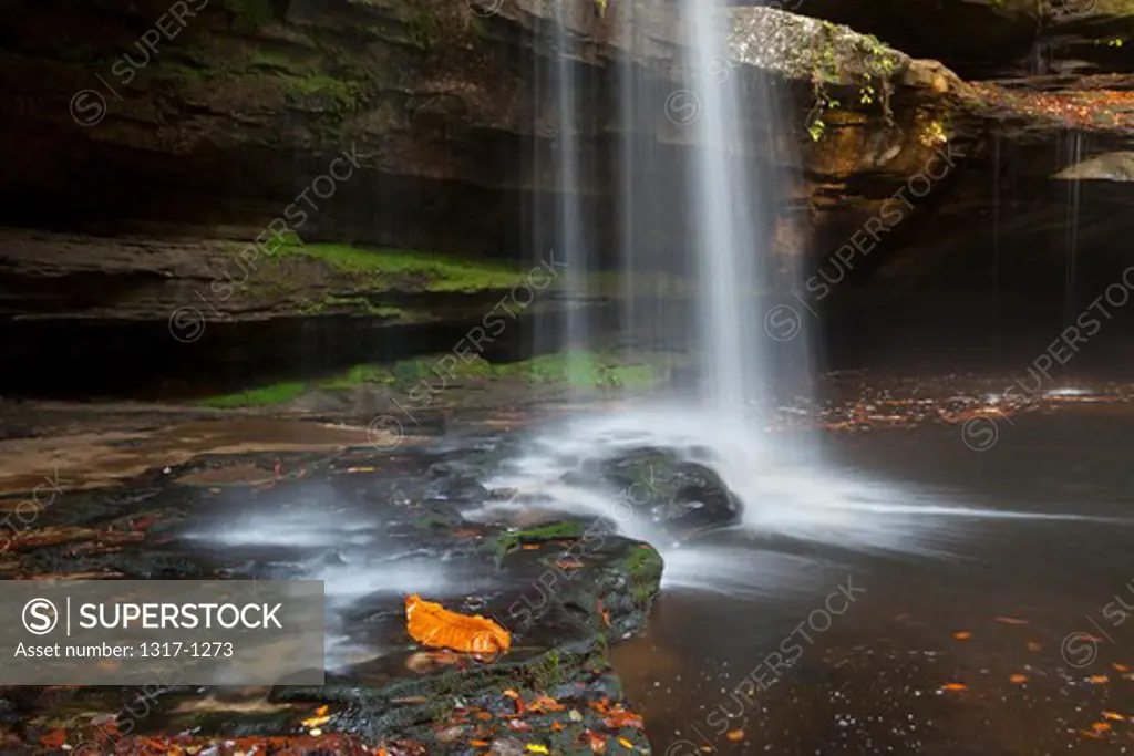 Water falling from rocks, Sipsey Wilderness, Bankhead National Forest, Alabama, USA