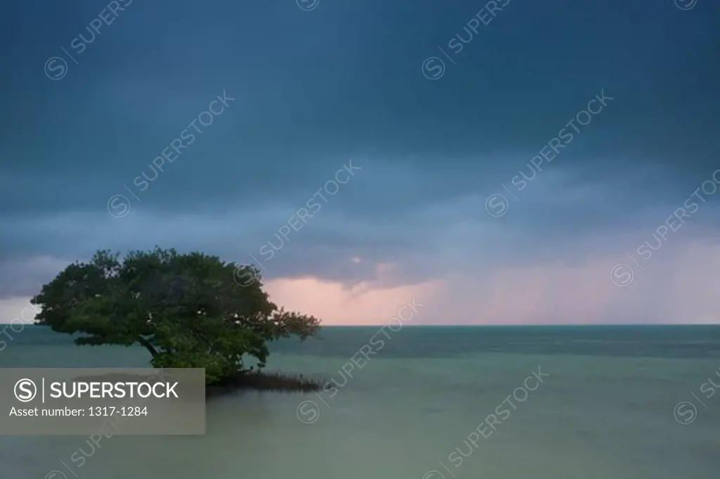 Thunderstorm over the Atlantic ocean, Bahia Honda Key, Florida, USA