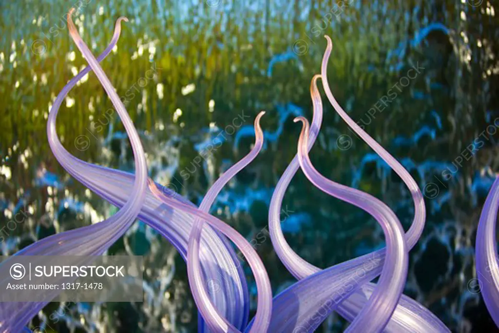 Chihuly glass sculpture at the Dallas Arboretum, Dallas, Texas, USA