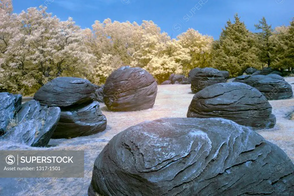 Odd Dakota sandstone concretions in Rock City, Kansas, USA