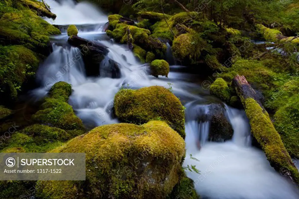 USA, Oregon, Oregon Waterfall in Cascade Range