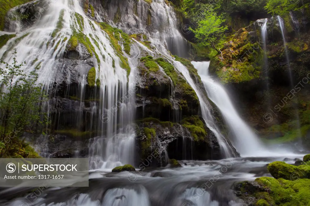 USA, Washington, Gifford Pinchot National Forest, Panther Creek Falls in temperate rainforest