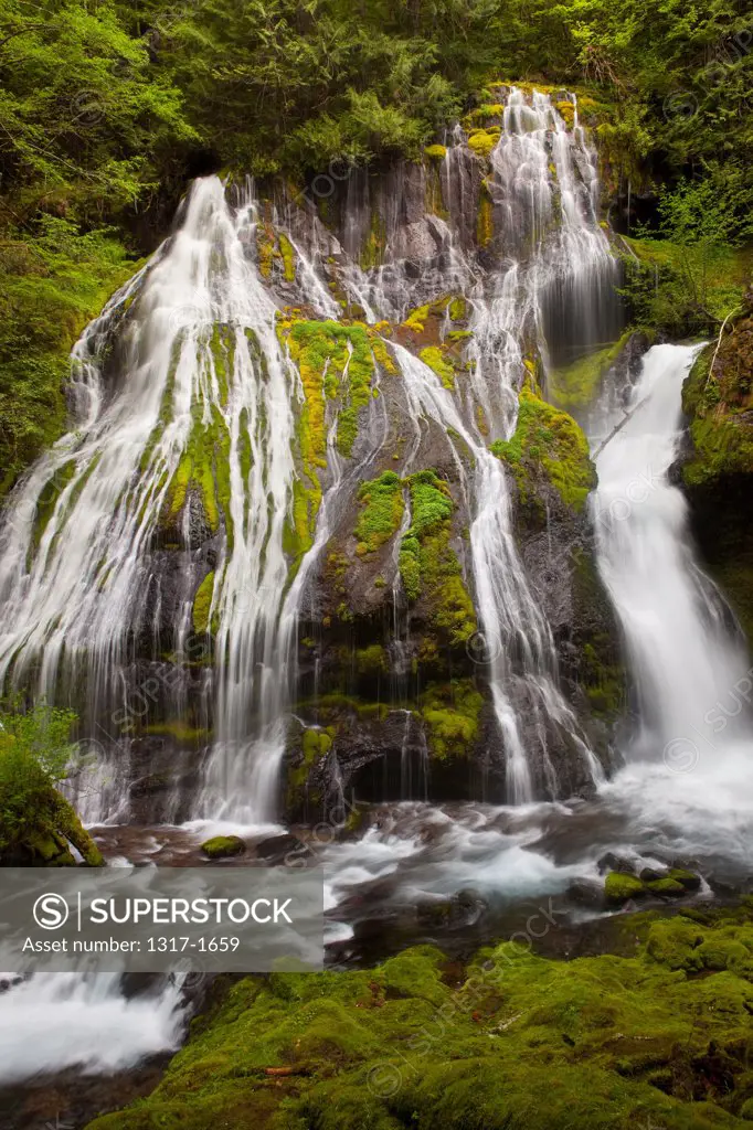 USA, Washington, Gifford Pinchot National Forest, Panther Creek Falls in temperate rainforest