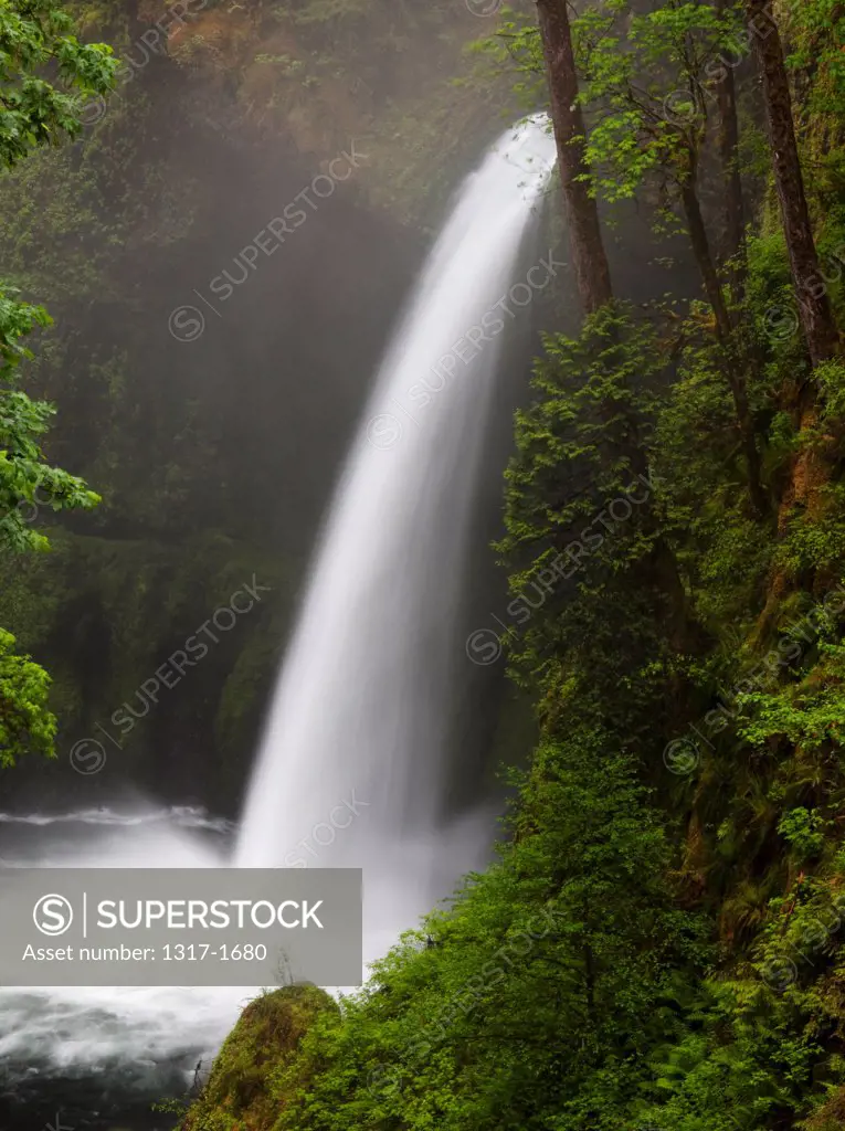 USA, Oregon, Columbia Gorge National Scenic Area, View of Metlako Falls on Eagle Creek