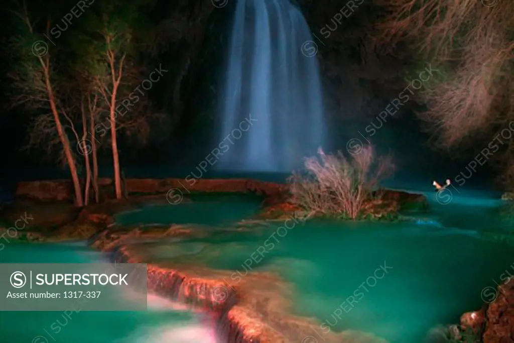 Waterfall in a forest, Havasu Falls, Havasupai Indian Reservation, Grand Canyon, Arizona, USA