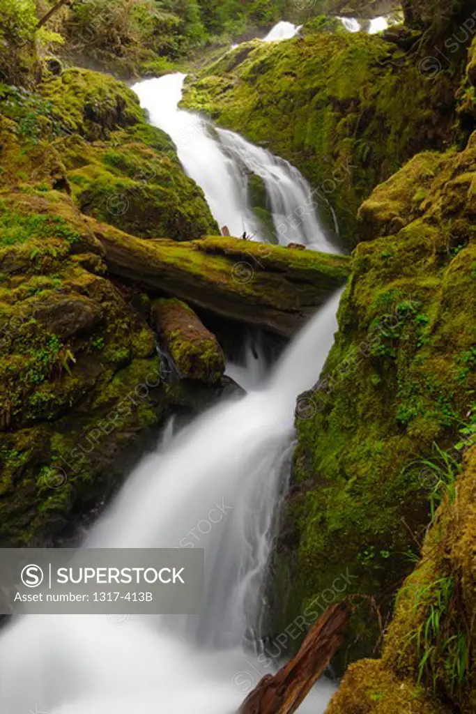 Bunch Falls splashing over black rocks, long time exposure, Olympic National Park, Washington, USA