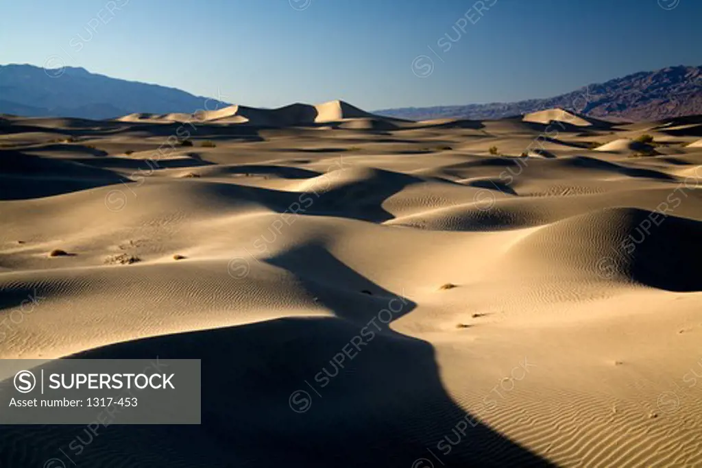 Stovepipe Wells at sunrise, Death Valley Mesquite Dunes, California, USA