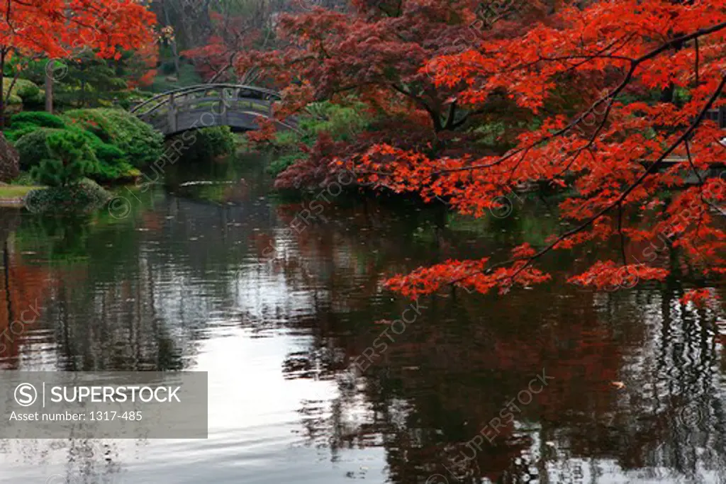Footbridge in a Japanese garden, Fort Worth Texas, USA