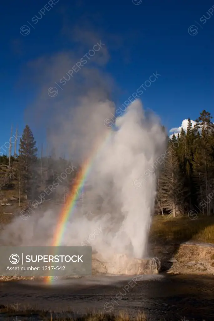 USA, Wyoming, Yellowstone National Park, Upper Geyser Basin, Riverside Geyser