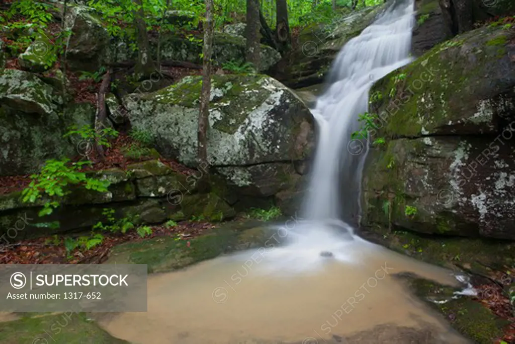 Waterfall in a forest, Glory Hole Falls, Ozark Mountains, Ozark National Forest, Arkansas, USA