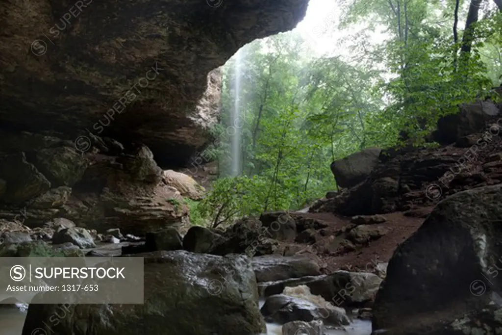Waterfall in a forest, Eden Falls, Hidden Valley, Ozark Mountains, Ozark National Forest, Arkansas, USA