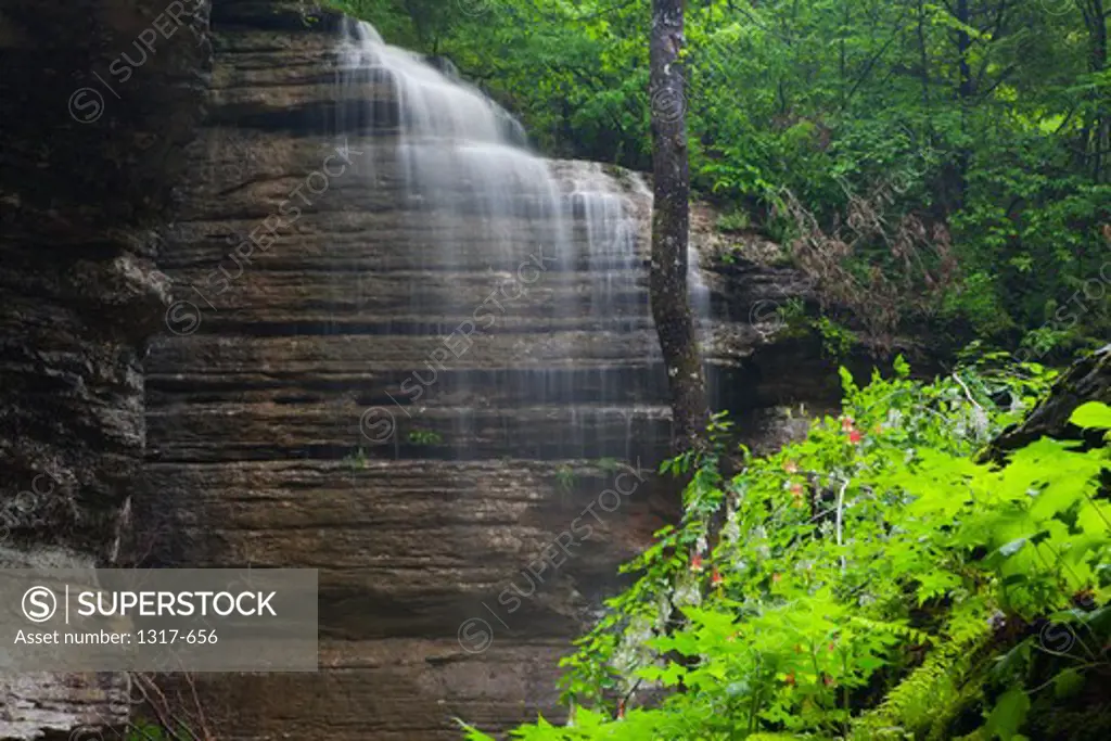 Waterfall in a forest, Eden Falls, Hidden Valley, Ozark Mountains, Ozark National Forest, Arkansas, USA