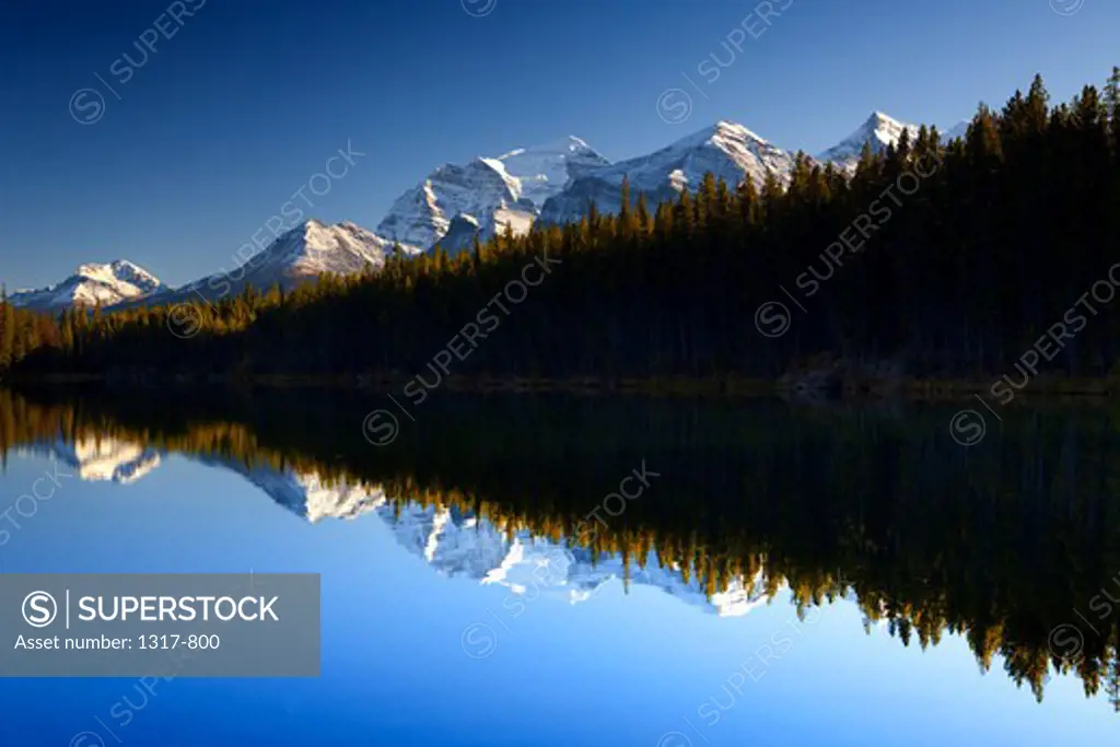 Reflection of mountains and trees in a lake, Lake Herbert, Banff, Banff National Park, Alberta, Canada