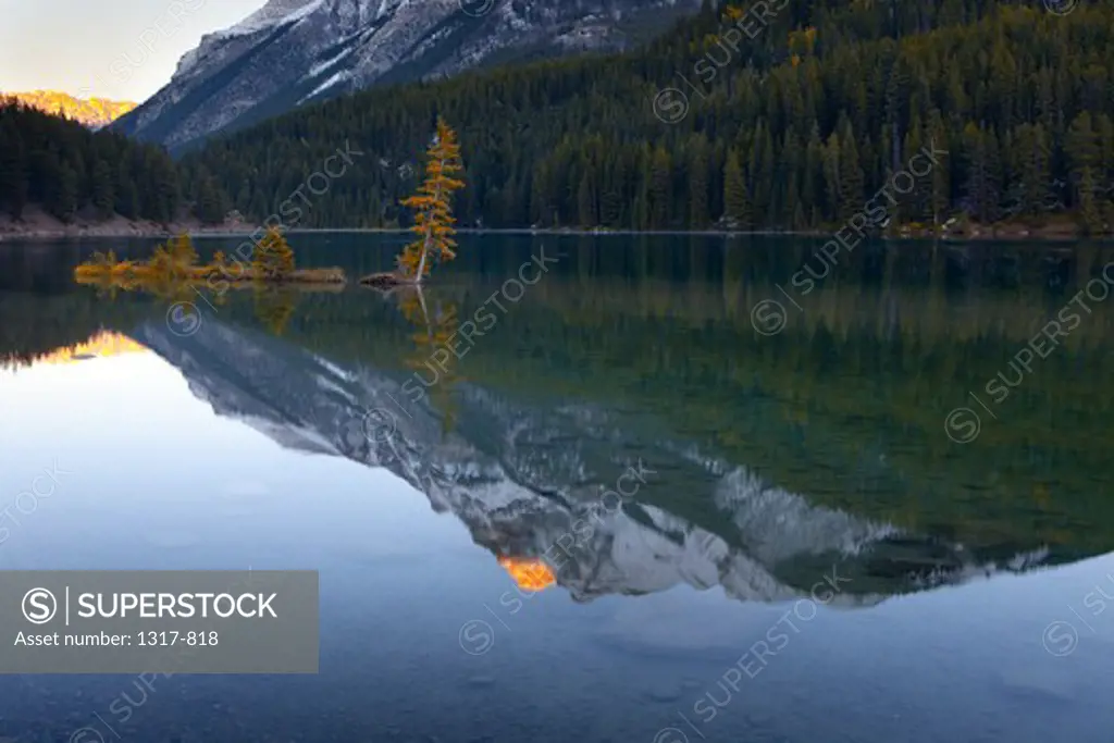 Reflection of mountains and trees in a lake, Two Jack Lake, Banff National Park, Alberta, Canada