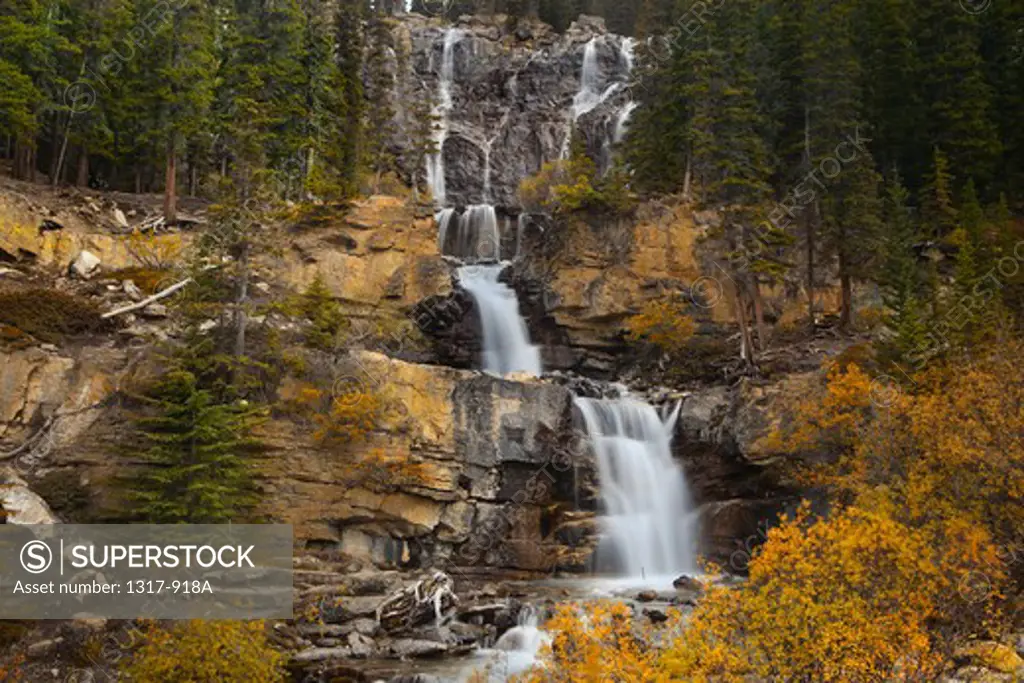 Waterfall in a forest, Tangle Falls, Jasper National Park, Alberta, Canada