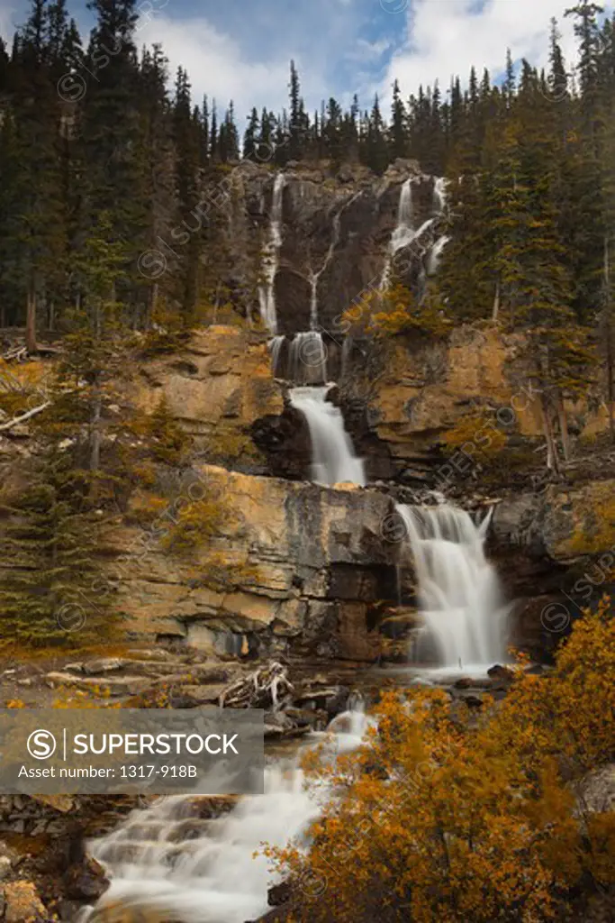 Waterfall in a forest, Tangle Falls, Jasper National Park, Alberta, Canada
