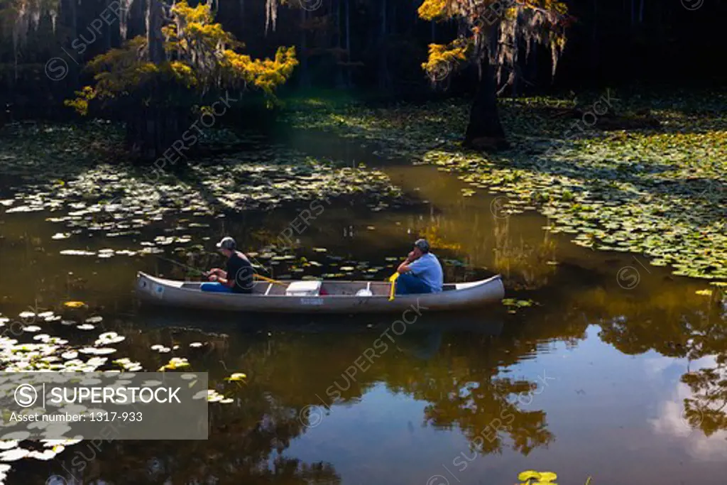 Tourists canoeing in a swamp, Cypress Swamp, Caddo Lake, Texas-Louisiana, USA