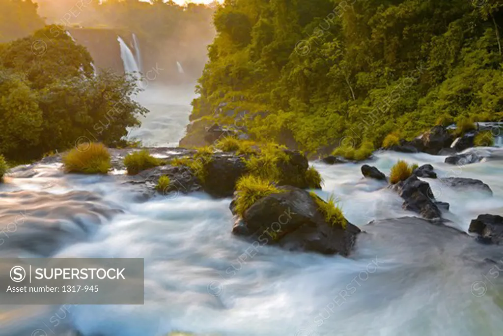 River flowing through a forest, Iguacu Falls, Argentina-Brazil Border