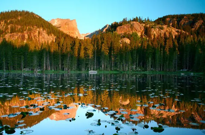 USA, Colorado, Rocky Mountain National Park, Bear Lake, Reflection of mountains and trees in lake