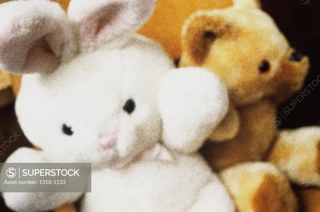 Close-up of a stuffed teddy bear and a rabbit